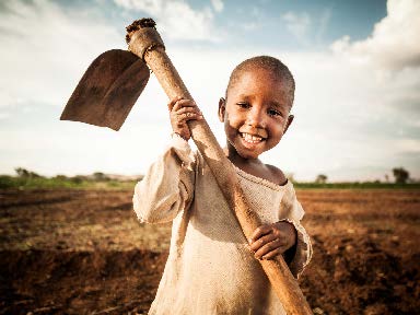 Farm Tools